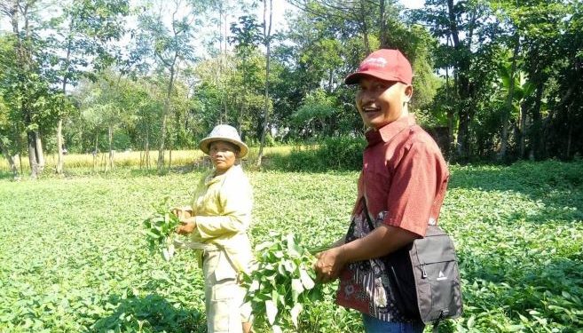 Mengajarkan bertanam bekal untuk hidup mandiri (Kintan Kinari Astuti/kdr)