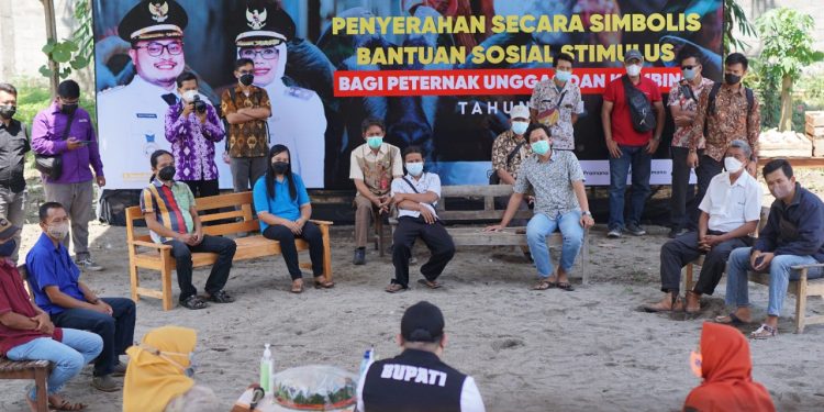 Perwakilan peternak mendapatkan stimulus bantuan (Kominfo)