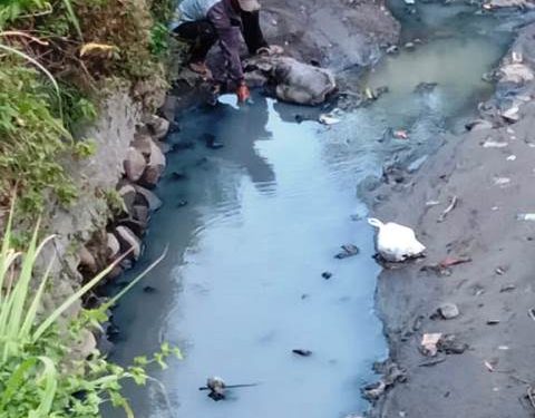 Kondisi Sungai Kresek berada di Kelurahan Burengan (Kintan Kinari Astuti)