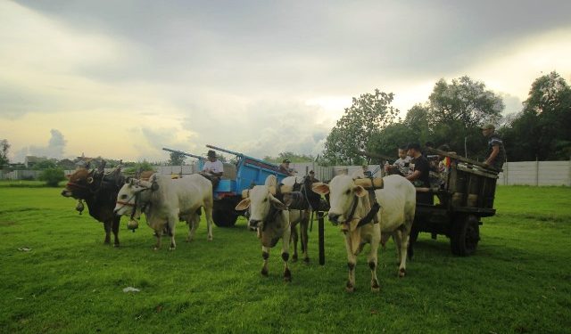 Paguyuban Makerti Roso Manunggal dan Paguyuban Bajingan Kediri dilibatkan dalam hari jadi kabupaten (kominfo)