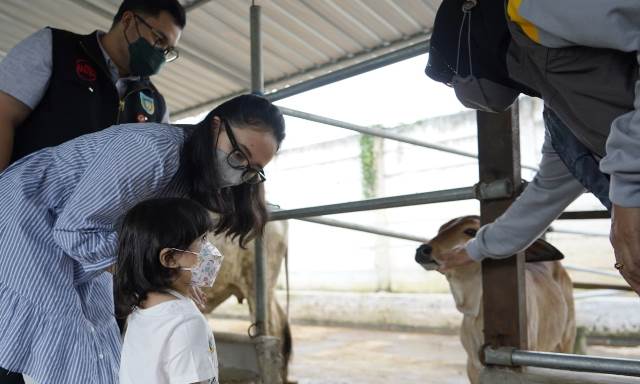 Monitoring Peternak Sapi Komunal, Mas Dhito Ajak Sang Buah Hati Monitoring Peternak Sapi Komunal, Mas Dhito Ajak Sang Buah Hati