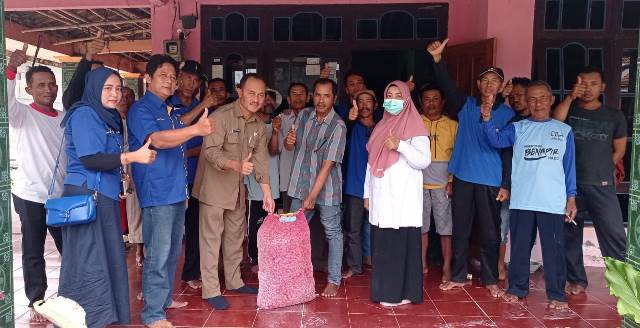 Lutfi NasDem Bantu Kelompok Tani Sekoto Bibit Bawang Merah