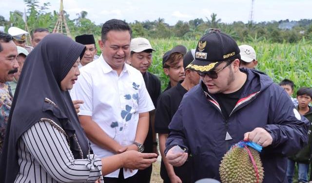 Mas Dhito merasakan langsung buah durian asli Medowo (Kintan Kinari Astuti)