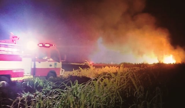 Suasana kebakaran lahan tebu di Plosoklaten (Wildan Wahid Hasyim)