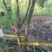 Jenasah Asrori saat ditemukan dikubur di belakang rumah Muchozin (humas)