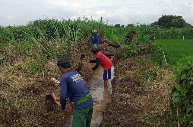 Tim Gerak Cepat Dinas PUPR Diturunkan Normalisasi Saluran Air di Wilayah Dermo