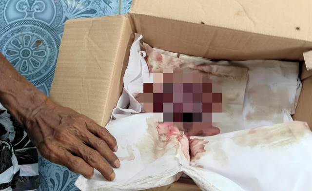 Warga Pule Kandat Digegerkan Temuan Janin 4 Bulan, Dibungkus Daster dan Kain Mori