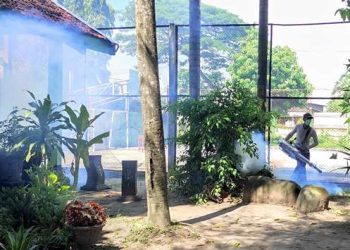 Dinkes Kabupaten Kediri saat melakukan fogging di SMPN 1 Ngasem (Wildan Wahid Hasyim)