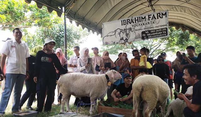 Suasana kontes domba dan kambing di Pasar Hewan Ngadiluwih (Sigit Cahya Setiawan)