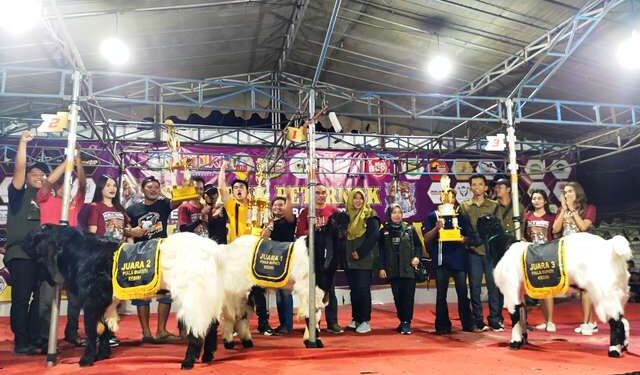 Ong Cai Malaysia Farm asal Ngawi keluar sebagai juara umum (Sigit Cahya Setiawan)