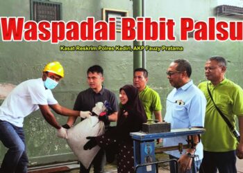 Pemusnahan barang bukti hasil kejahatan (Wildan Wahid Hasyim)