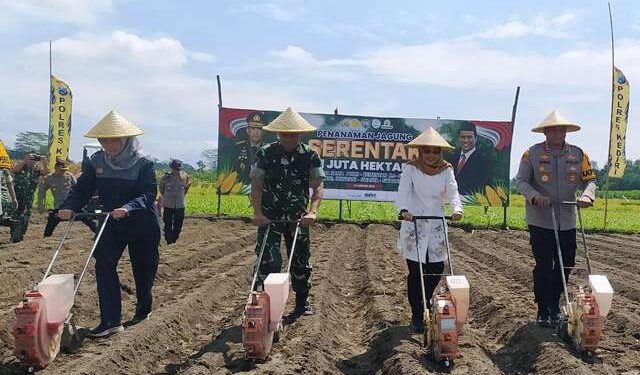 Acara simbolik penanaman jagung bersama Mbak Dewi (Muhammad Dastian Yusuf)