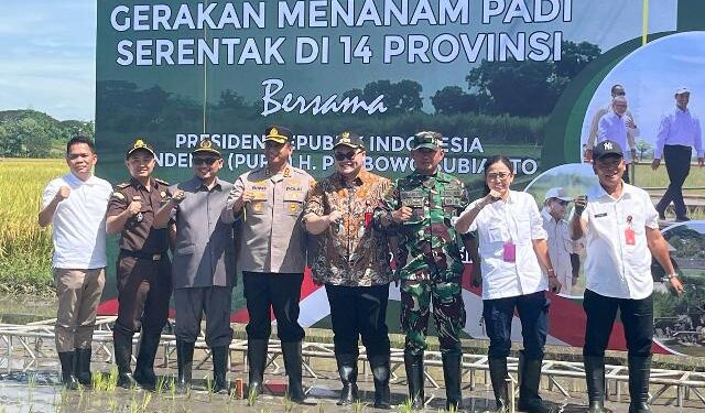 acara penanaman padi di Desa Mekikis Purwoasri (Kintan Kinari Astuti)