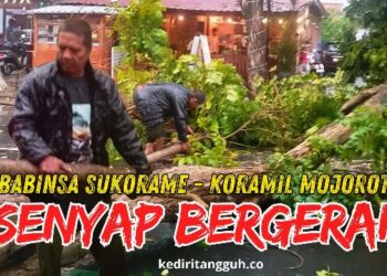 foto ; istimewa