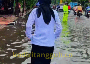 foto : istimewa