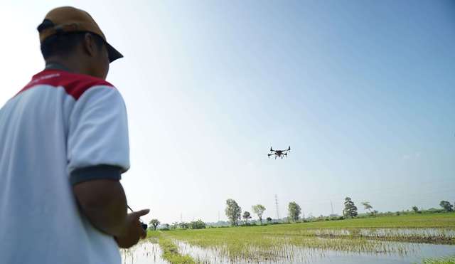 Respon Cepat Mas Dhito Tangani Lahan Padi Terendam Banjir di Purwoasri