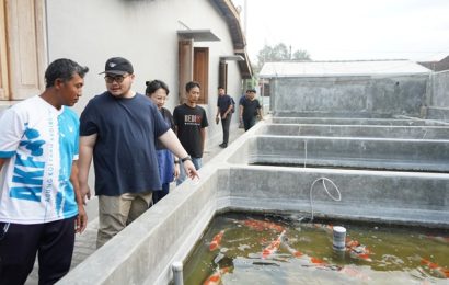 Akhir Agustus, Pemkab Kediri Gelar Kontes Koi Bernilai Ekonomi Rp700 Miliar