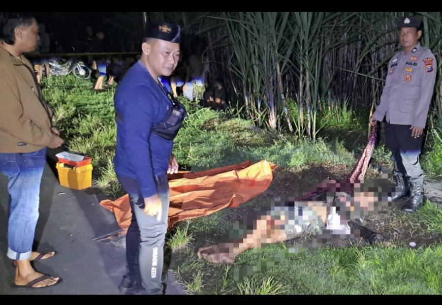 Mayat Pria Ditemukan di Pinggir Sawah Tambakrejo Gurah, Polisi Telusuri Jejak Darah hingga Gudang Kayu