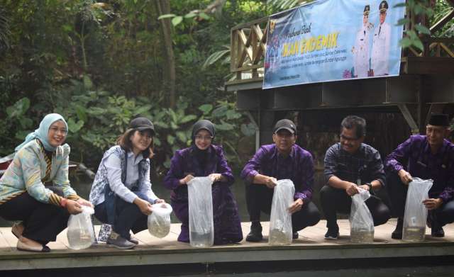 Jaga Keanekaragaman Hayati, 13 Ribu Benih Ikan Endemik Ditebarkan di Sejumlah Sumber Mata Air