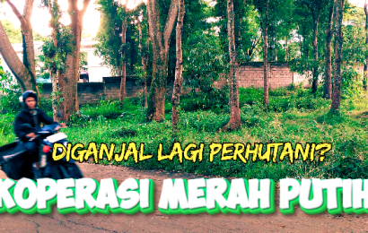Program Nasional Koperasi Merah Putih di Kediri Kembali Tersendat, Izin Lahan Perhutani Belum Turun