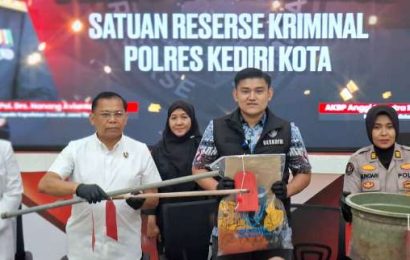 Kurang dari 24 Jam, Polisi Ringkus Nenek Pelaku Penganiayaan Bocah hingga Tewas