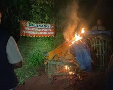 Polisi Gerebek Dugaan Arena Sabung Ayam di Ngasem, Hanya Temukan Jejak Tersisa