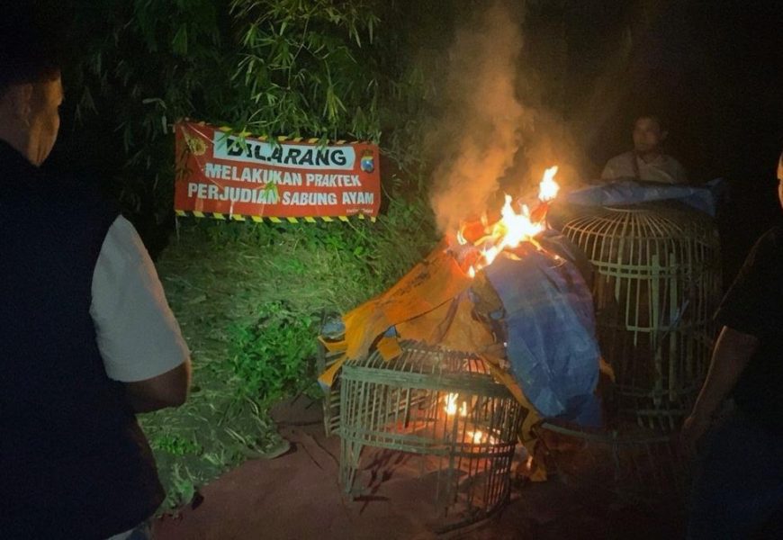 Polisi Gerebek Dugaan Arena Sabung Ayam di Ngasem, Hanya Temukan Jejak Tersisa