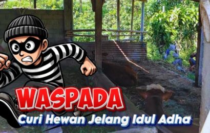 Pencuri Sapi Beraksi Jelang Idul Adha di Kediri, Modus Gunakan Racun
