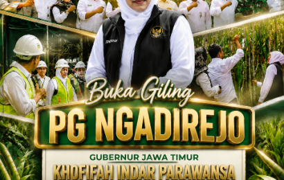 Gubernur Khofifah Pantau Rendemen Tebu PG Ngadirejo Melesat ke 8,5%!
