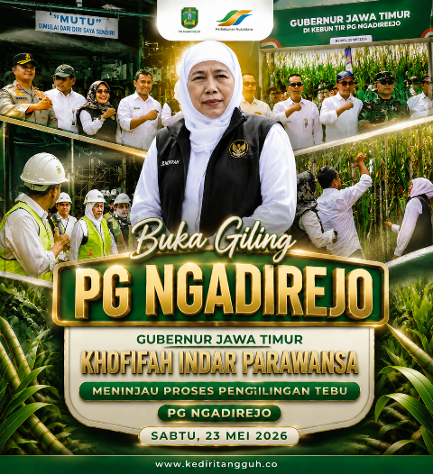 Gubernur Khofifah Pantau Rendemen Tebu PG Ngadirejo Melesat ke 8,5%!