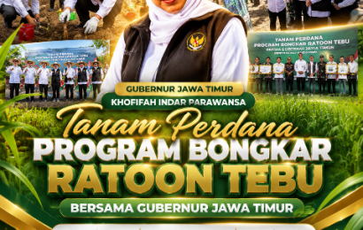 Revolusi Gula Nasional! Jawa Timur Siap Capai Swasembada 2026 Lebih Cepat dari Target