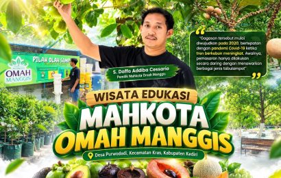 Rumah Tua Tak Berpenghuni Disulap Jadi Wisata Edukasi Mahkota Omah Manggis, Kini Raup Omzet Rp150 Juta per Bulan Rumah Tua Tak Berpenghuni Disulap Jadi Wisata Edukasi Mahkota Omah Manggis, Kini Raup Omzet Rp150 Juta per Bulan