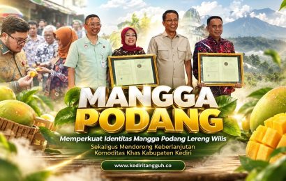 Punya Cita Rasa Khas Lereng Gunung Wilis, Mangga Podang Kini Bersertifikat Indikasi Geografis Punya Cita Rasa Khas Lereng Gunung Wilis, Mangga Podang Kini Bersertifikat Indikasi Geografis