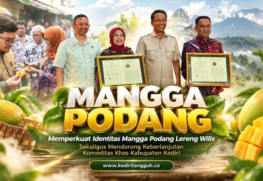 Punya Cita Rasa Khas Lereng Gunung Wilis, Mangga Podang Kini Bersertifikat Indikasi Geografis