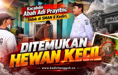 Heboh! Siswa SMAN 8 Kediri Temukan Hewan Kecil di Menu MBG, Kacabdin Langsung Sidak Heboh! Siswa SMAN 8 Kediri Temukan Hewan Kecil di Menu MBG, Kacabdin Langsung Sidak